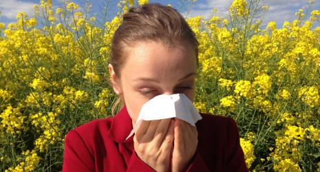 Allergie, Pollenflug